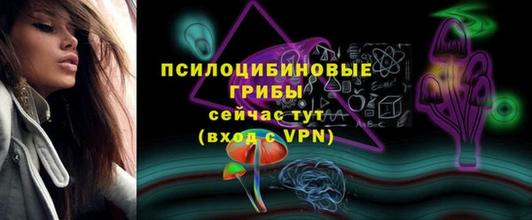 мет Инсар