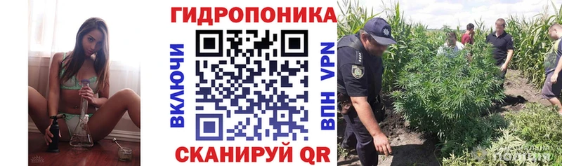 сколько стоит  Сольвычегодск  Конопля Amnesia 